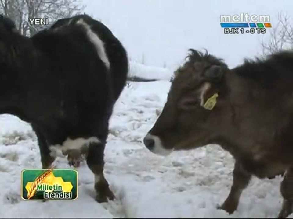ÖZLÜCE KÖYÜ MELTEM TV MİLLETİN EFENDİSİ (25.02.2011) 2.KISIM