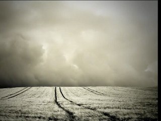 Dream Into Dust - Nothing but Blood