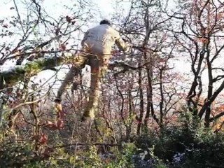 Maxime Renard saute d'un arbre