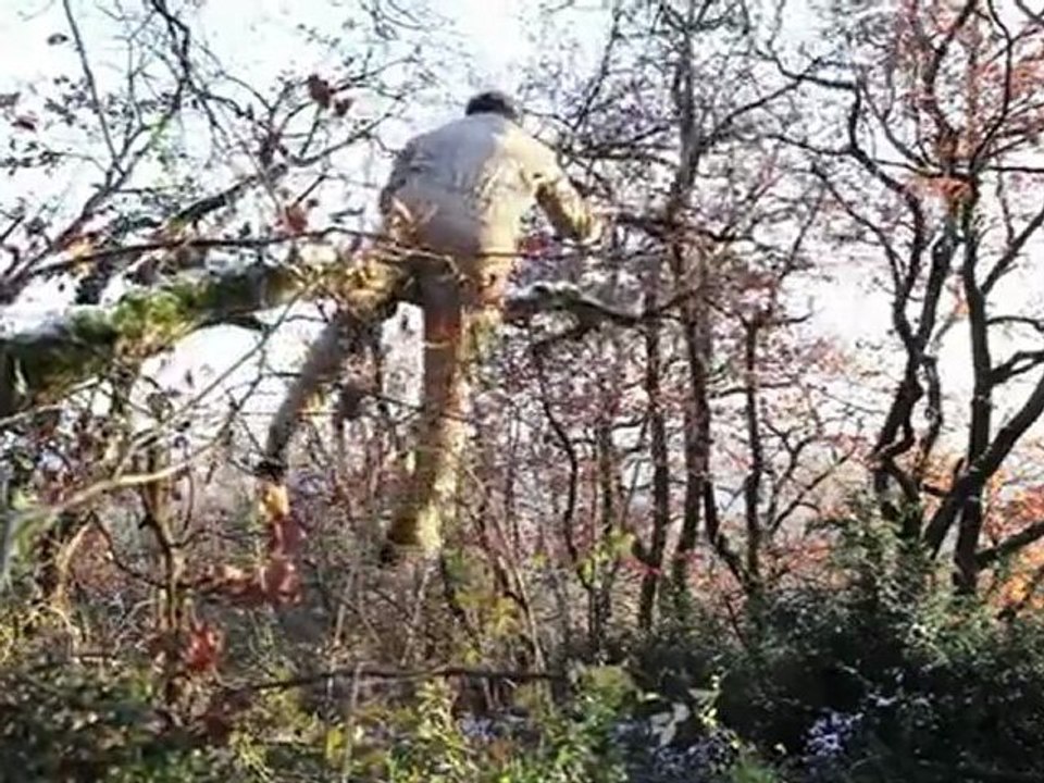 Maxime Renard saute d'un arbre