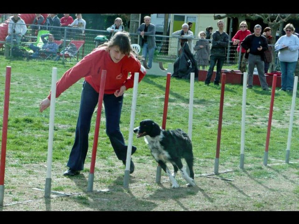 obstacle agility bis