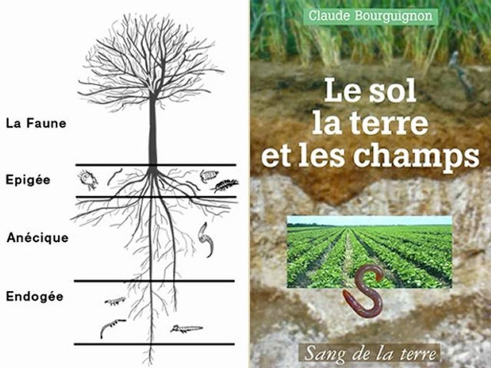 Claude et Lydia Bourguignon constatent l’état des sols 2de3
