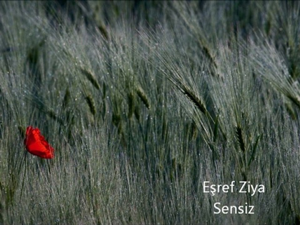 Sensiz