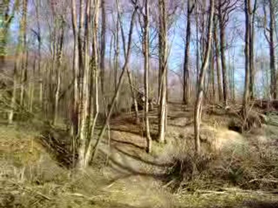 Vidéo0105