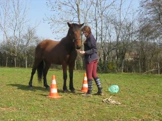 Désensibilisation sac plastique, bâche, etc