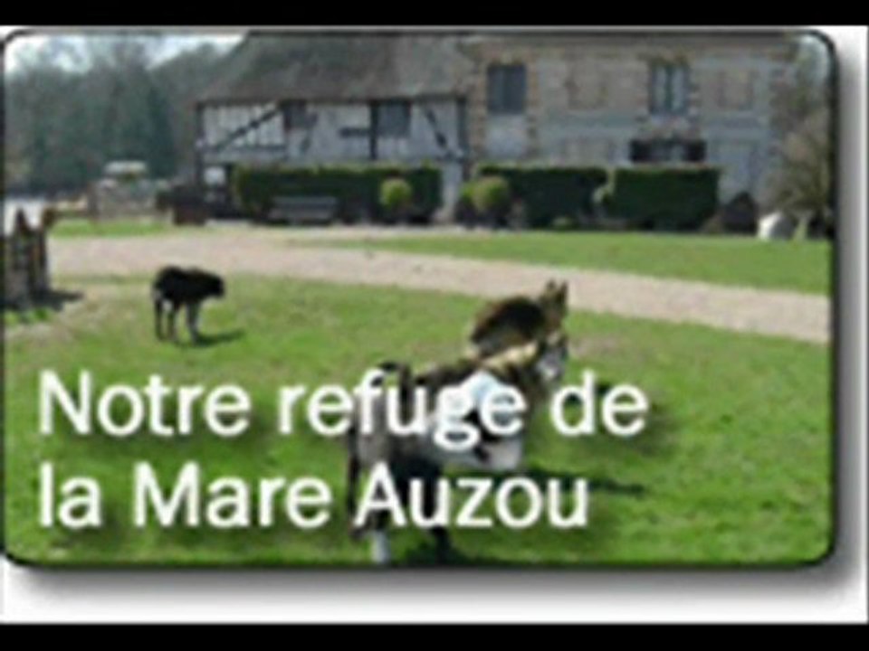 Brigitte Bardot s'adresse à vous...