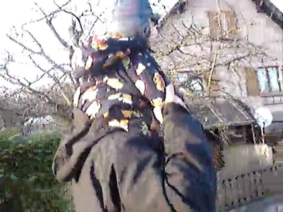 justin sur épaules papa 5/3/11