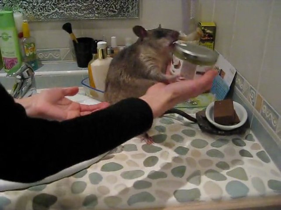 Humm... humm... ça sent trop trop bon !