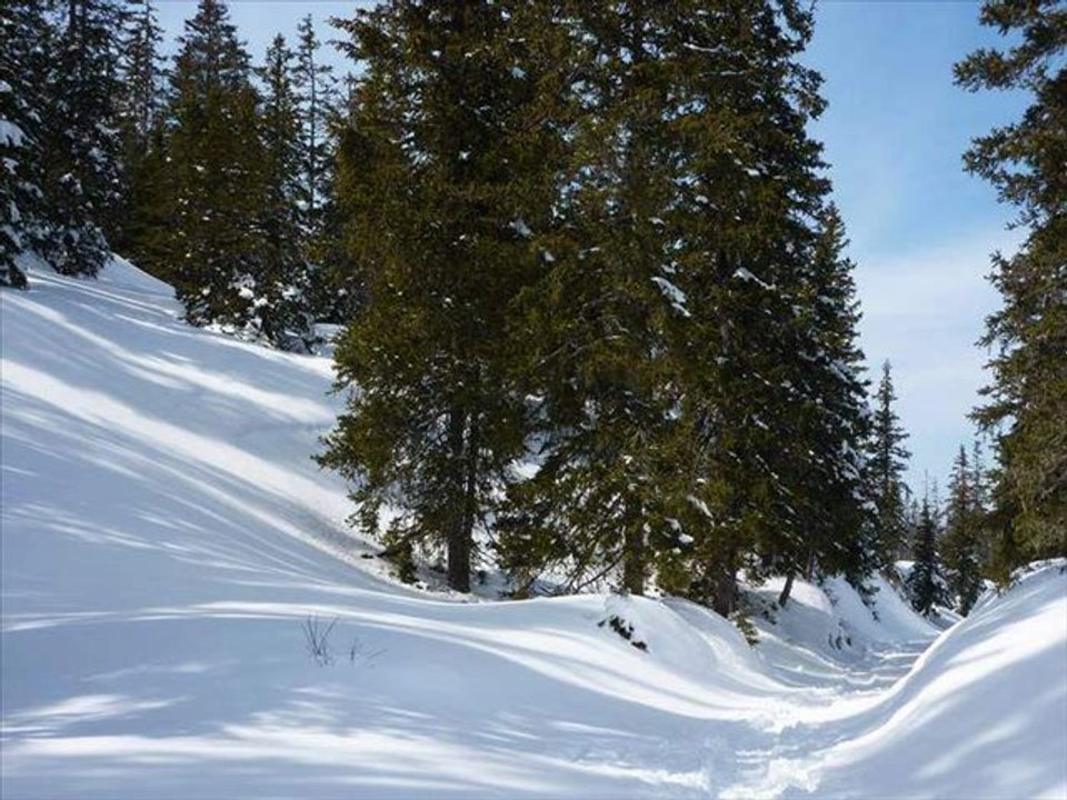rando sur les hauts plateaux du Vercors