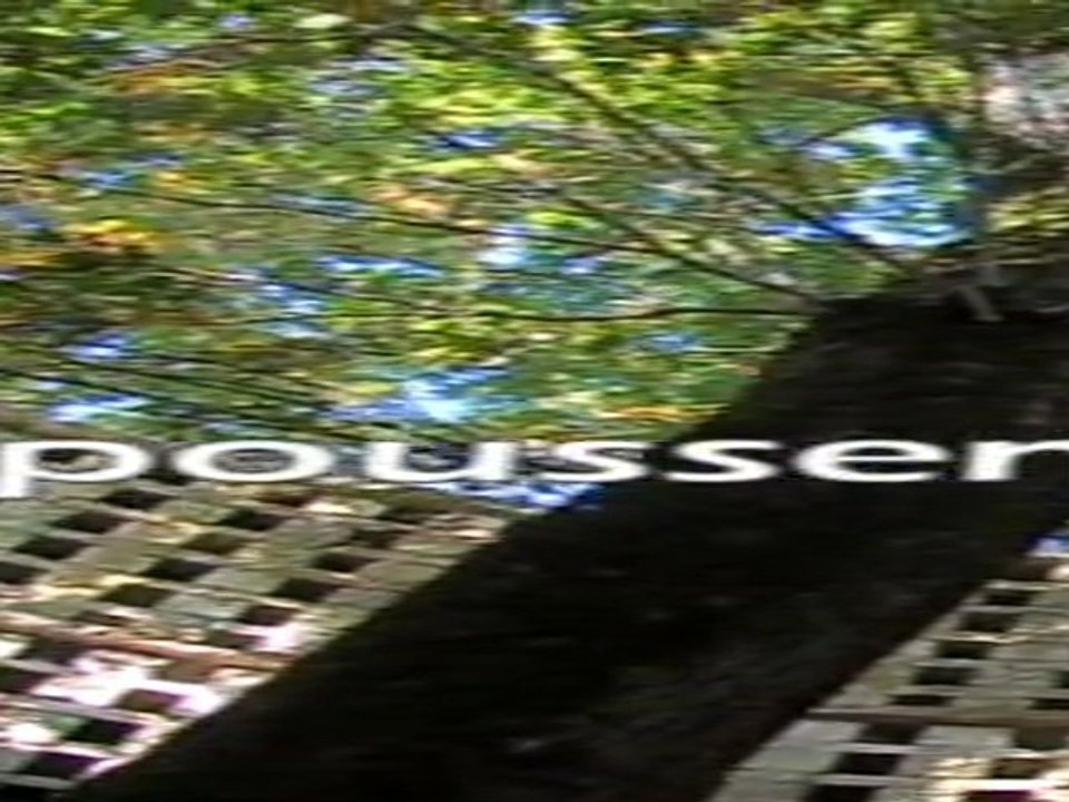 Teaser Arbres remarquables en Deux-Sèvres