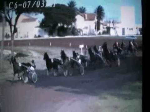 ORIGAN DU VIVIER 2e à Hyères