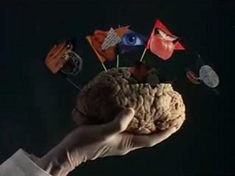 L'Île aux fleurs (Ilha das Flores) court métrage