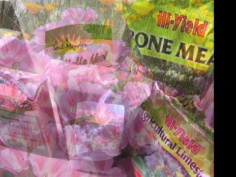 Landscaping Design Tip 5 for Estate Gardens