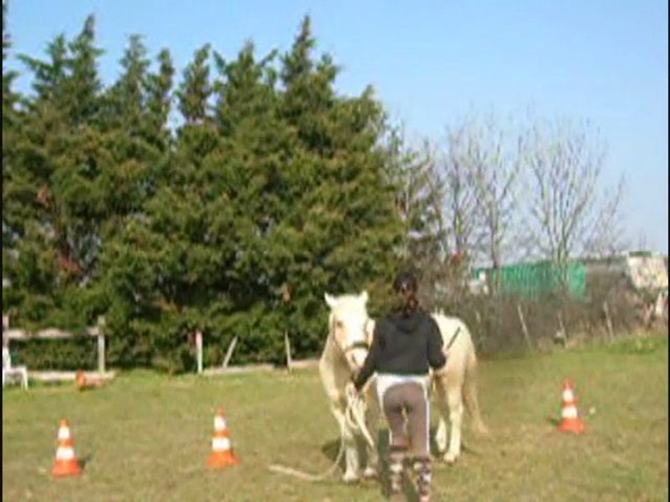 Défi n°4 ethol'horse