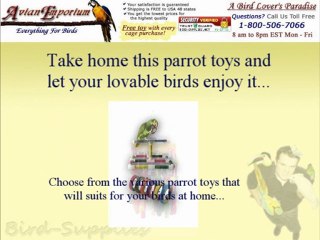 Various Parrot Toys For Your Birds
