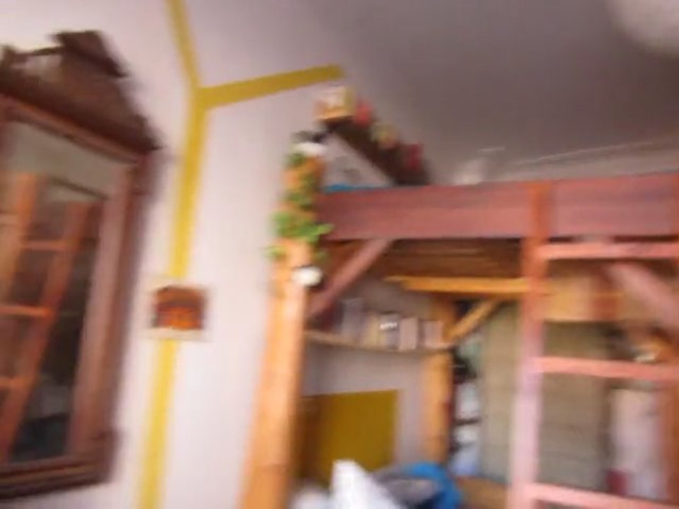 The axolotl merry-go-round