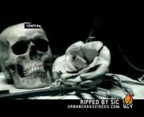 Cradle of Filth - Nymphetamine