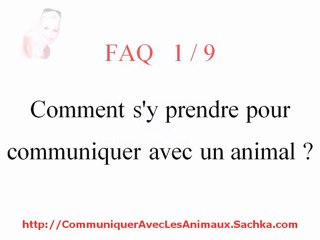 Comment communiquer avec animal ? Sachka FAQ 1/9