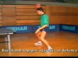 Vladimir Samsonov trainining backhand spin