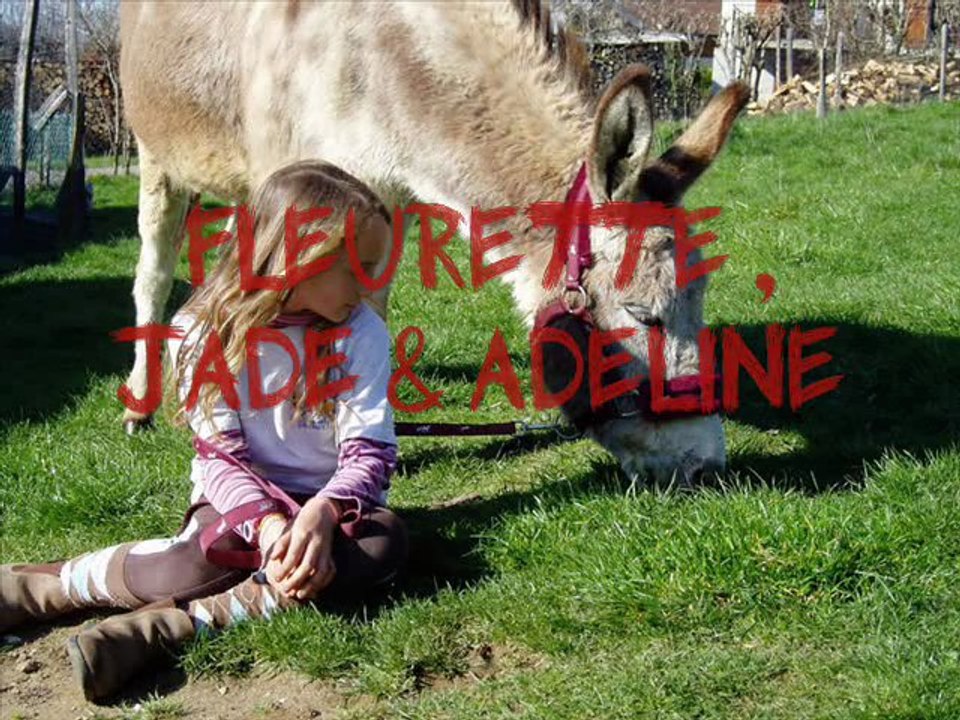 anelo 2