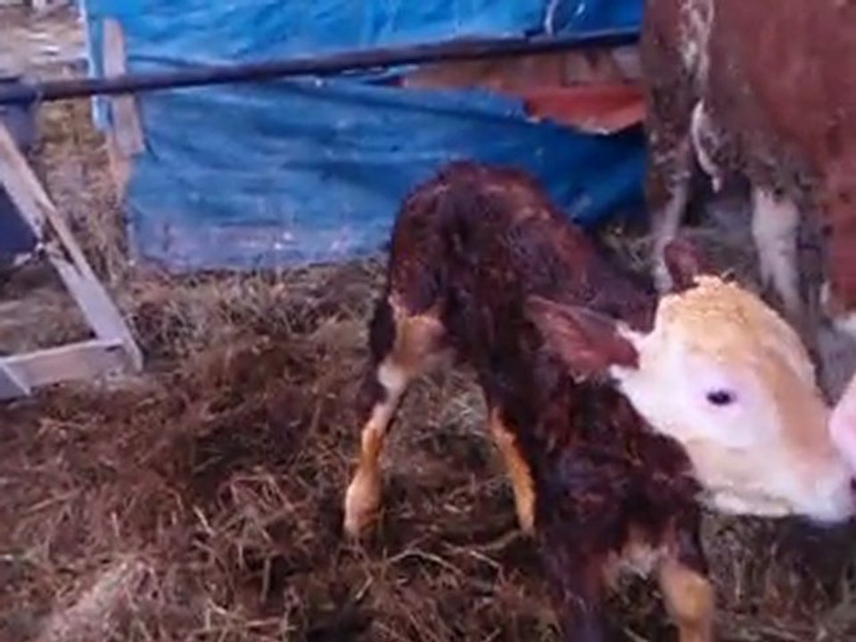 Eser Doğumdan Sonra