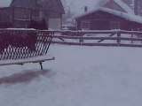 Mes chevaux Canadien dans la tempête