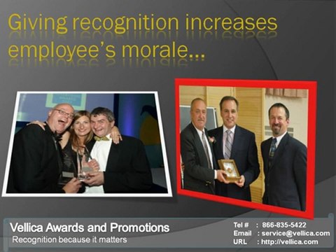 Employee Recognition - Vellica