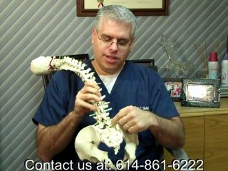 How to treat Lower Back Pain? Chiropractor Reynoldsburg Oh