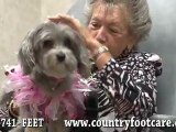 Certified Therapy Dog - Foot Care in Mineola and Williston P