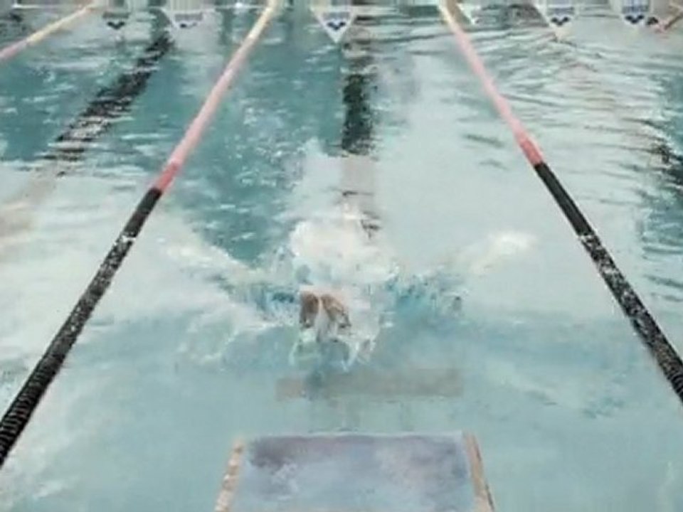 La nuit de l'eau 2011