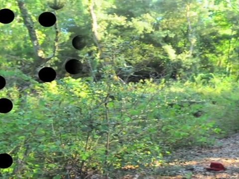 Le Poinçonneur des Lilas - Serge Gainsbourg - reprise