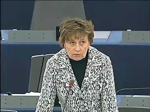 Anneli Jäätteenmäki on Explanations of vote (II)