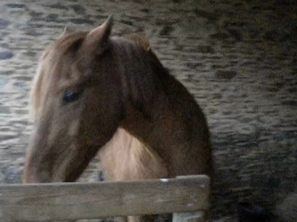mars2011 010