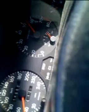 petite sorit promenade dans les bois