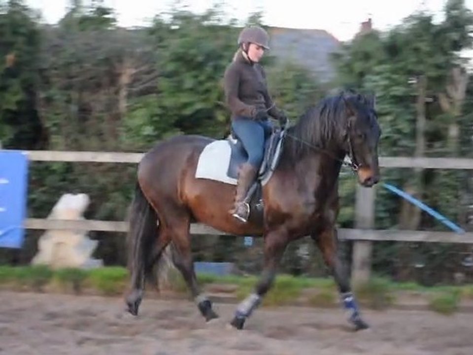 video trot mars 2011