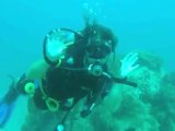 KOH-TAO diving 2