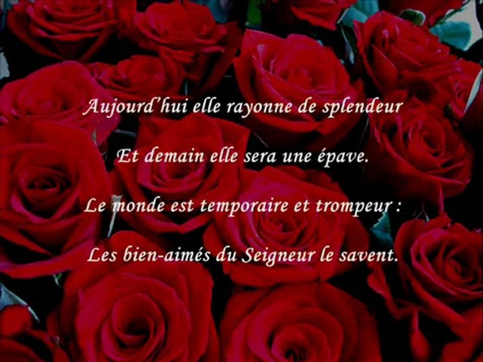 Vie Futile et tentations éphémères