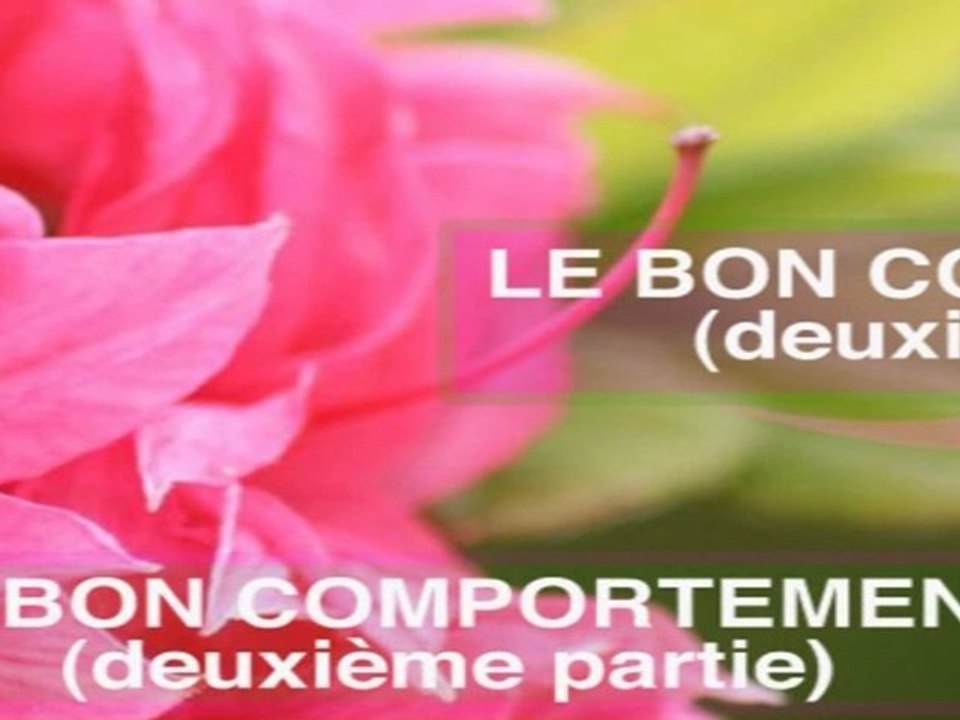 le bon comportement (2/2)