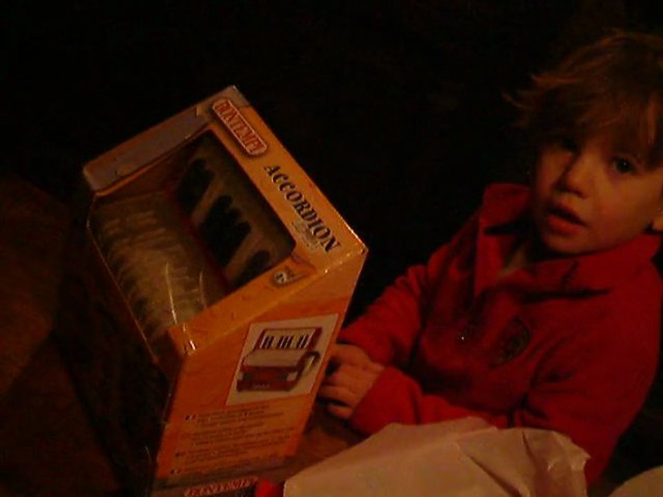 2010-12-25-Accordeon00