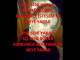 ŞEBNEM ARCAN ''NEYE YARAR''