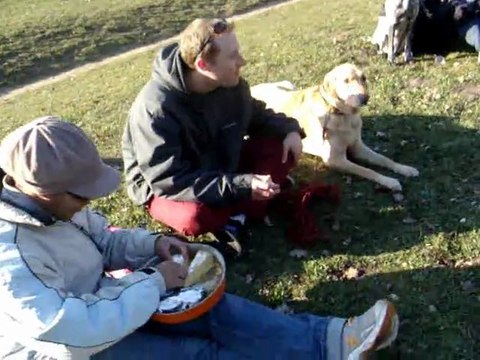 Pique nique au Bois de Boulogne avec 15 chiens