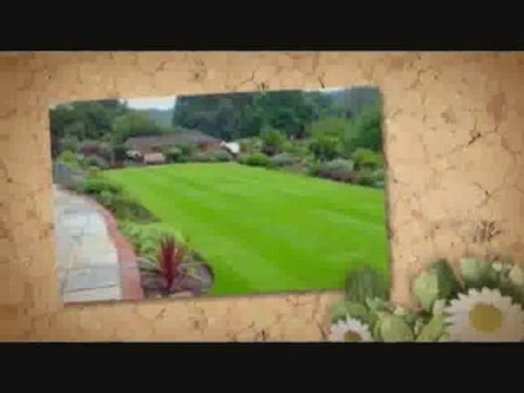 Spots-In-The-Lawn.info | repairing lawns | water conservation | lawn mowing