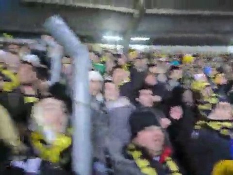 bizim icin saldir kanarya