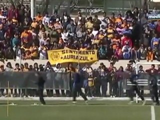 Medio Tiempo.com - Tigres, 7 de Febrero