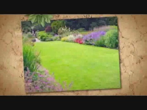 Fertilizing-The-Lawn.info | dark green grass | spider mites in lawn