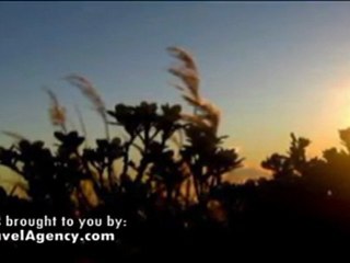 Philippine's Highest Peak - Mount Apo