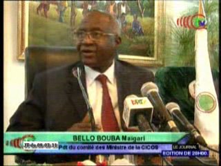 Commission internationale du bassin du Congo