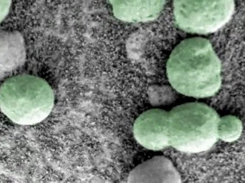 MARS.(anomalies).(1)