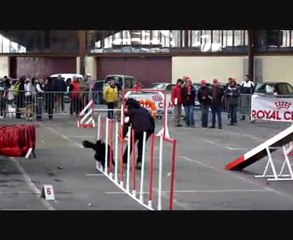 concours Brive 6 mars 2011