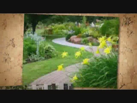 DarkGreen-Lawn.info | dead spots in the grass | brown spots in the grass